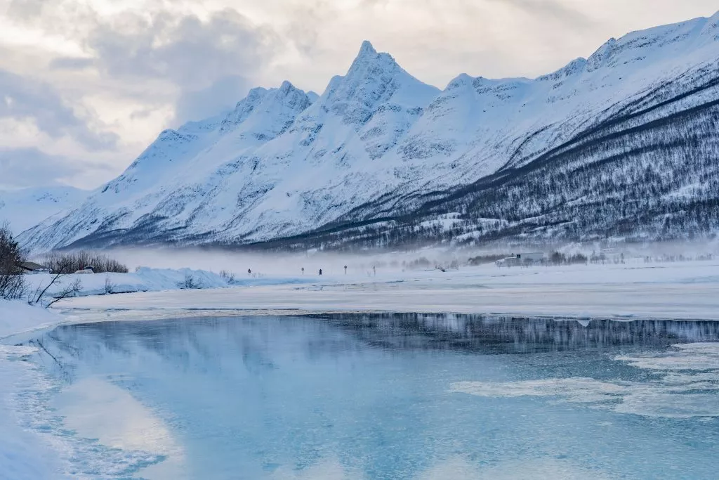 Alpes lyngen