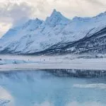 Alpes lyngen