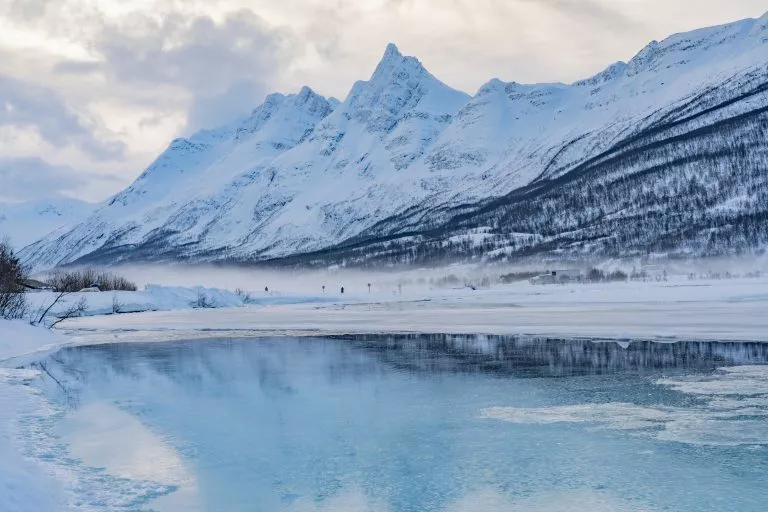 Alps lyngen