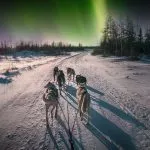 Husky avontuur