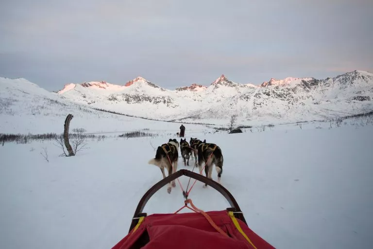 View from sledge