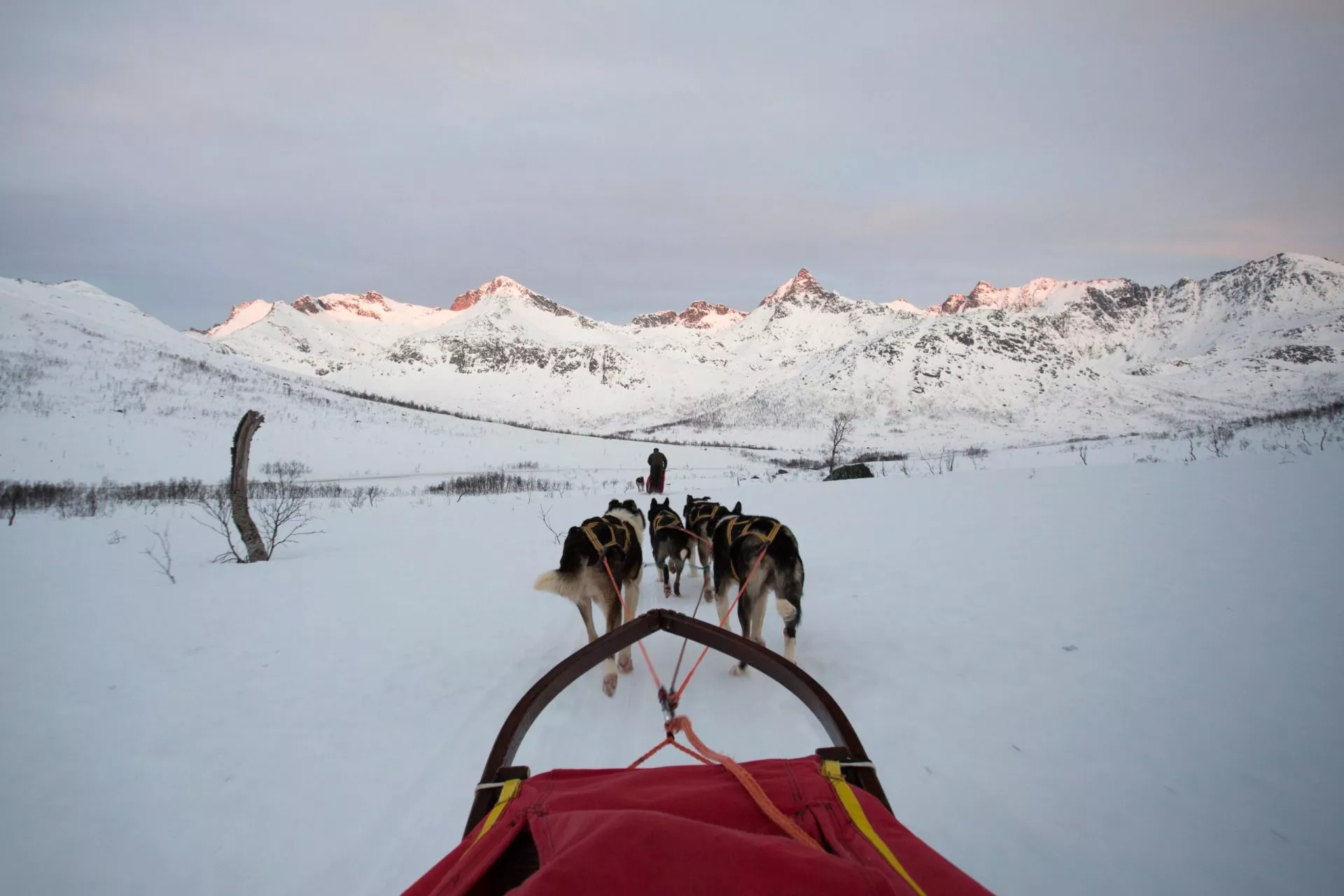 View from sledge